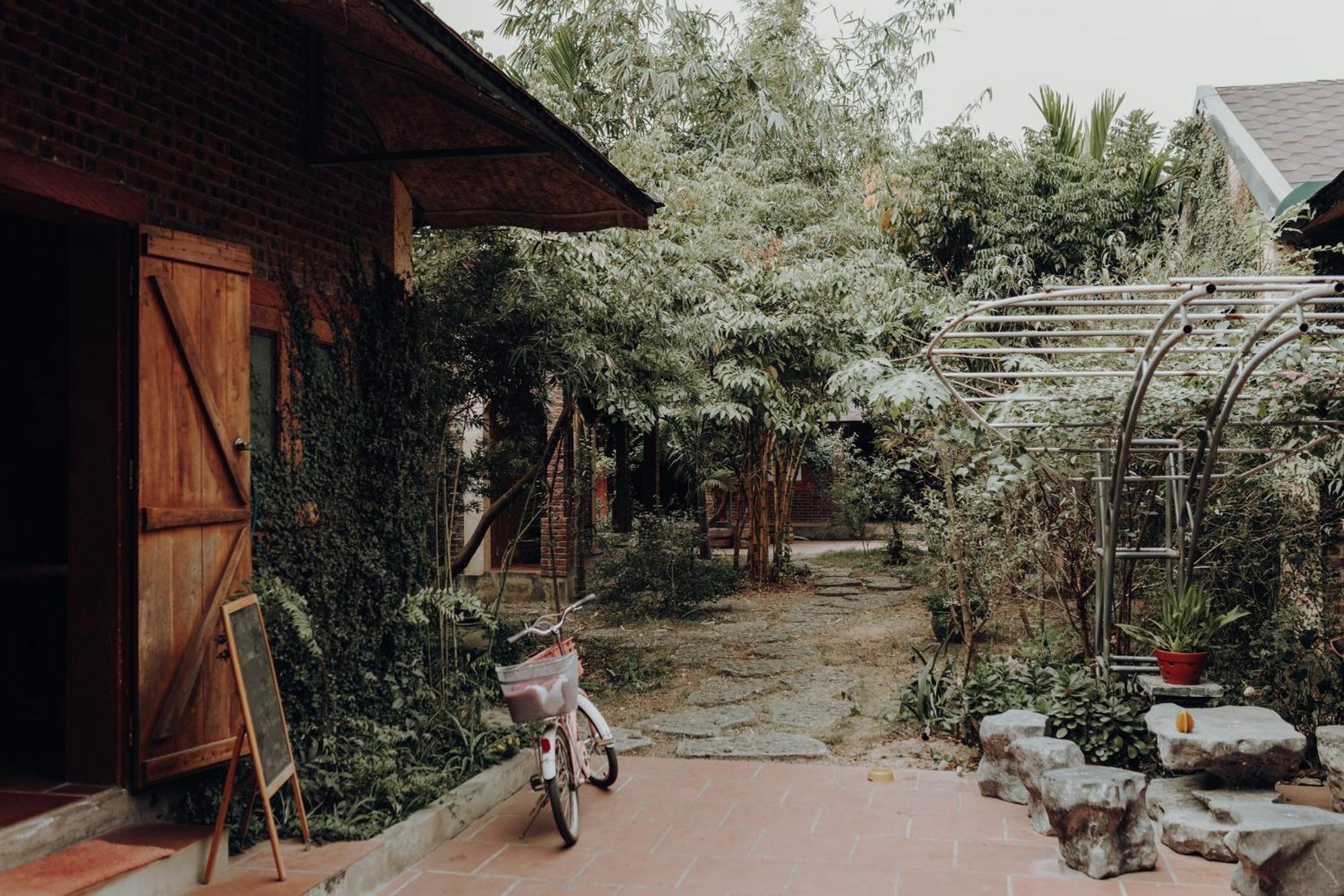 Ninh Binh Palm Homestay Экстерьер фото