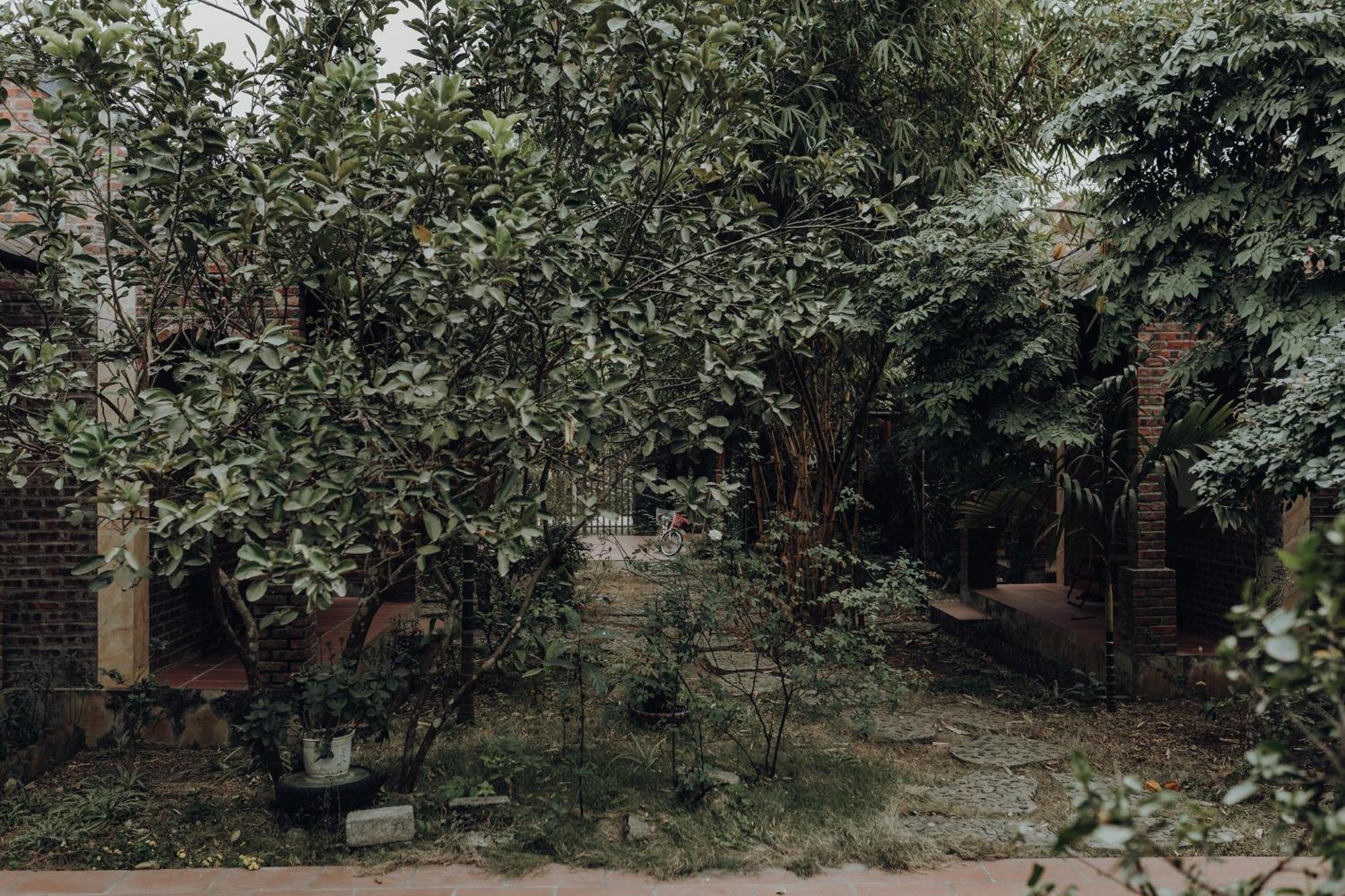 Ninh Binh Palm Homestay Экстерьер фото