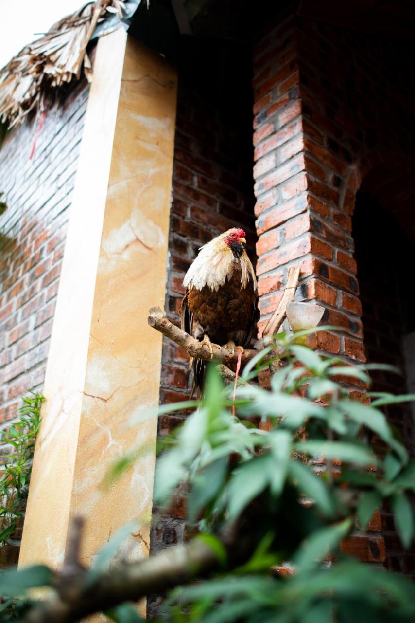 Ninh Binh Palm Homestay Экстерьер фото